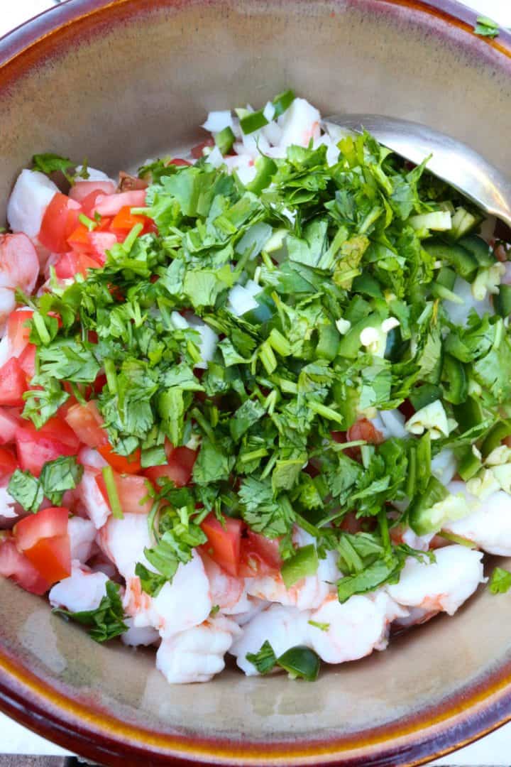 Mexican Shrimp Ceviche