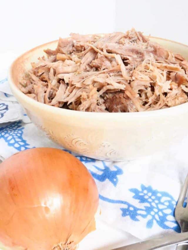 Mexican Shredded Pork Story Everyday Latina