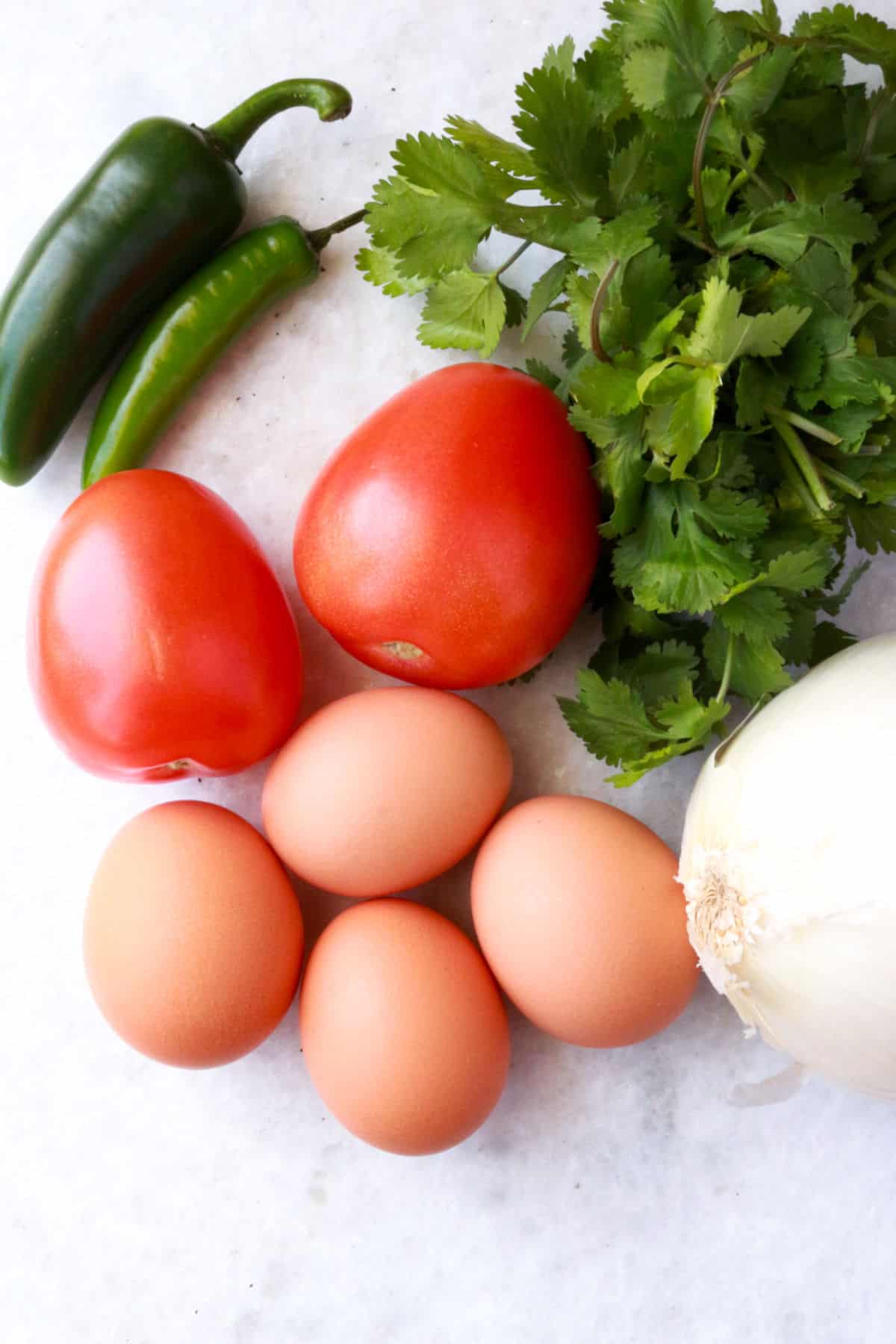 Serrano and jalapeño pepper, cilantro, tomatoes, eggs and onion on white background