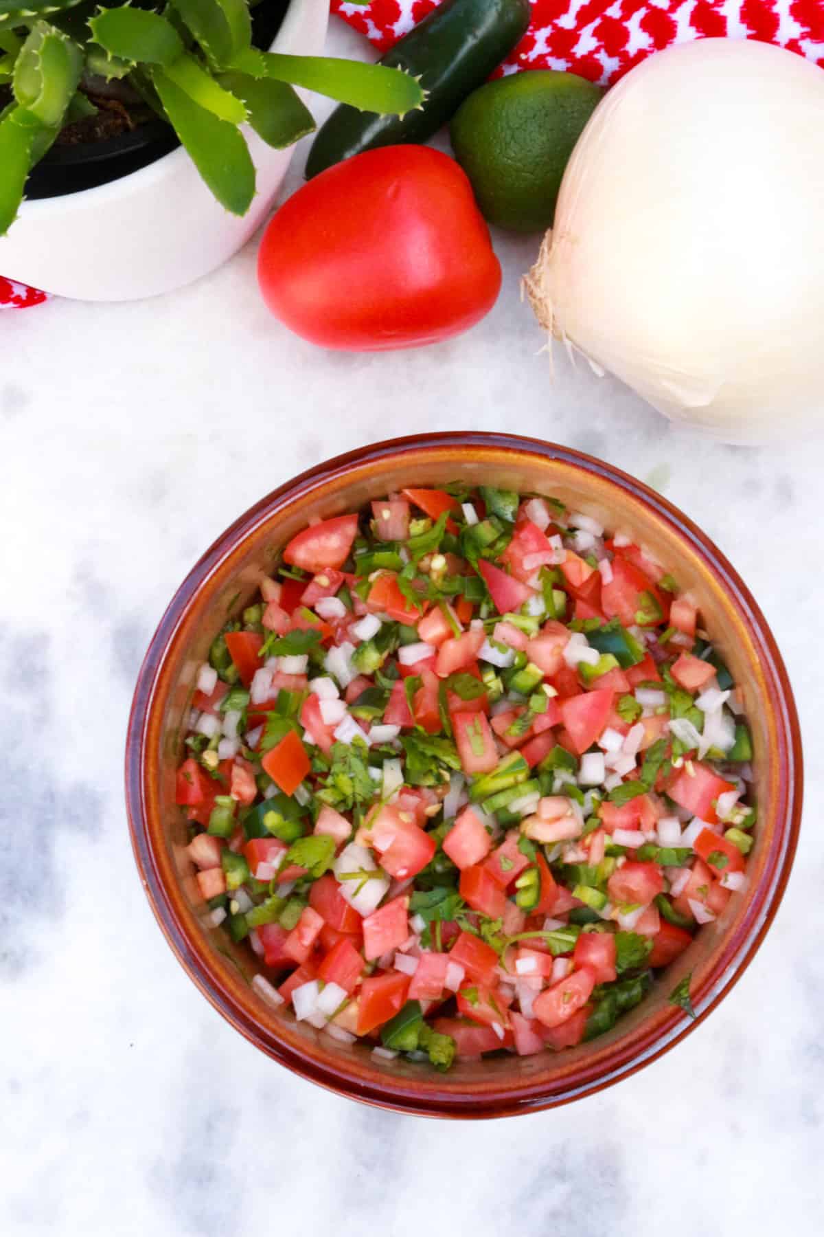 Bowl of salsa bandera with a plant, tomato, lime, onion and jalapeño in the background