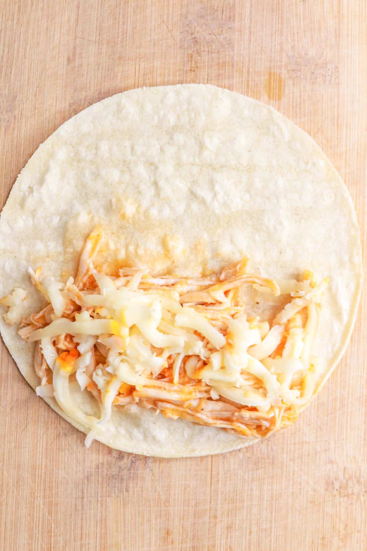 Shredded chicken and cheese on a corn tortilla