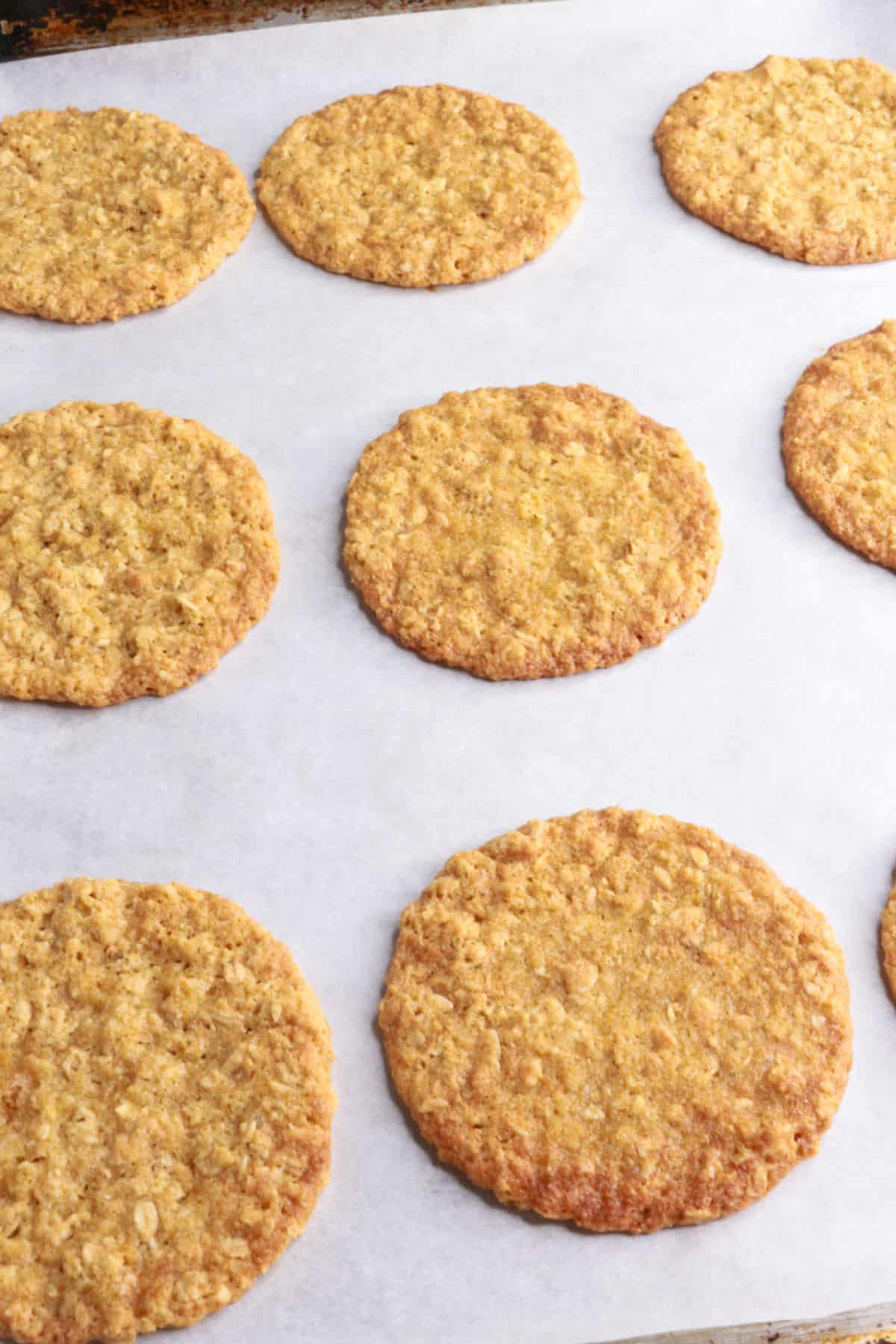 Baked coconut flour oatmeal cookies on a cookie sheet