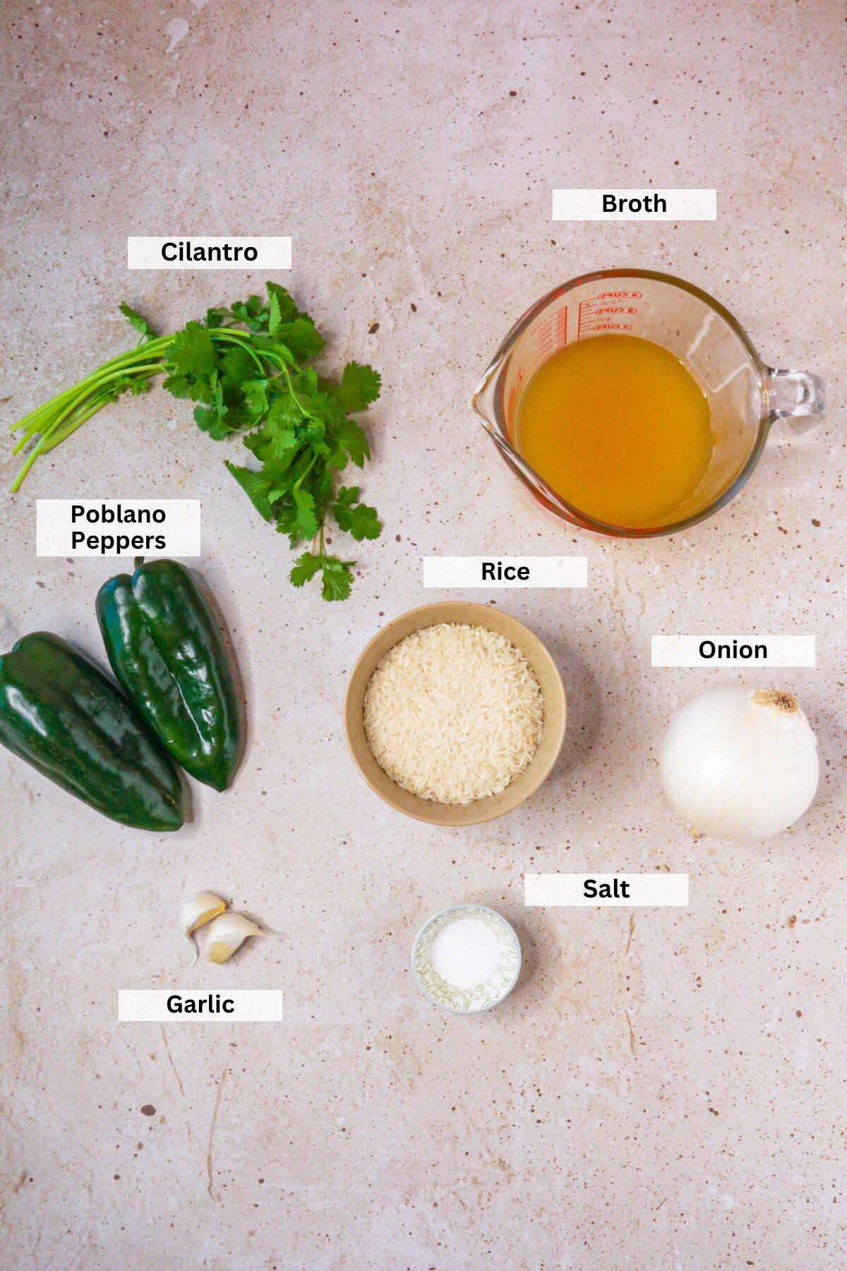 Ingredients for arroz verde poblano: cilantro, broth, poblano peppers, rice, onion, salt, garlic