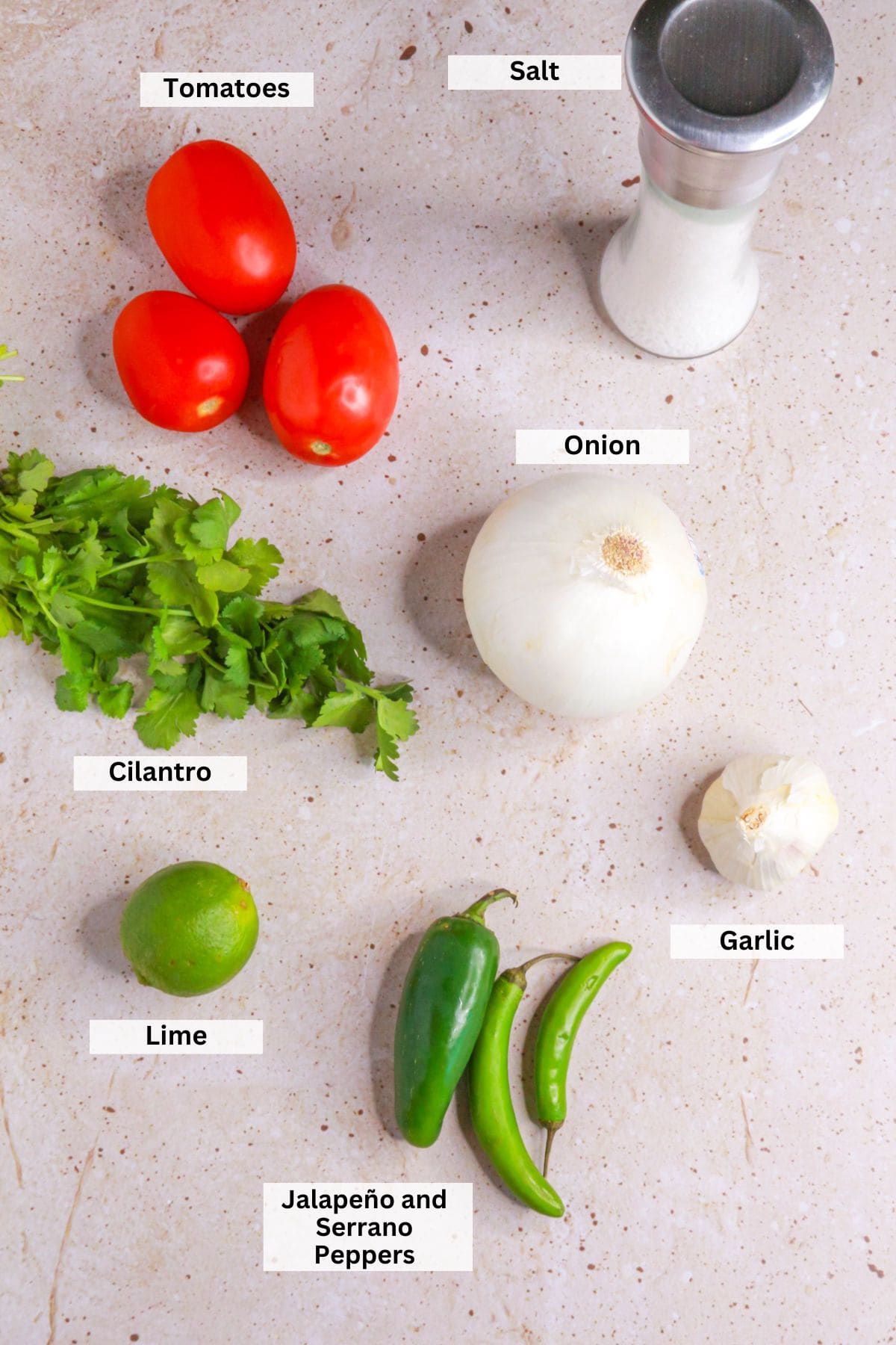 Ingredients for salsa cruda: tomatoes, salt, onion, cilantro, onion, garlic, lime, jalapeño and serrano peppers