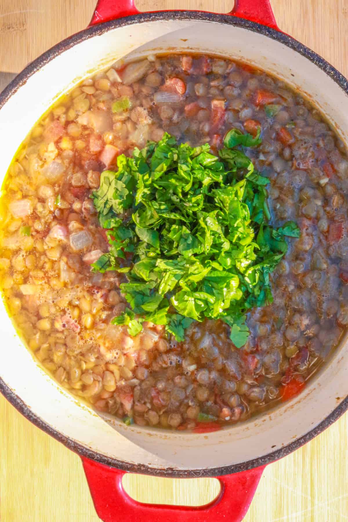 Pot of lentil soup with chopped cilantro on top