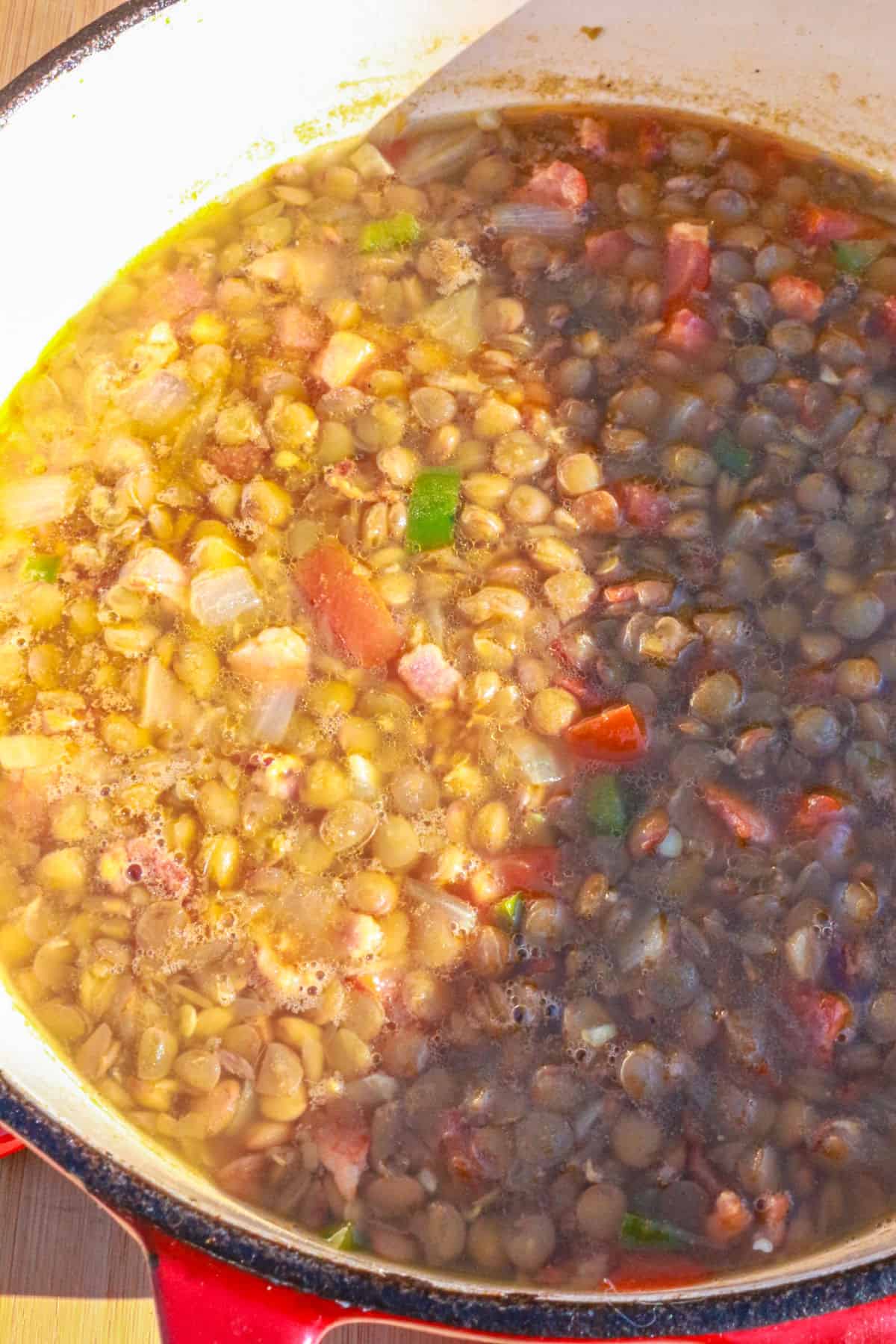 Lentils and sautéed vegetables with broth in a pot