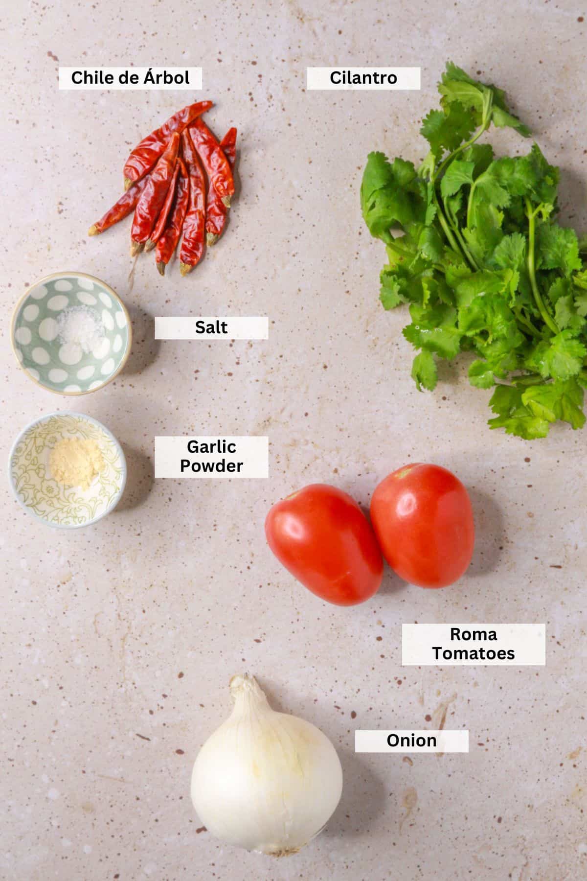 Chile de arbol salsa ingredients: chiles de arbol, cilantro, salt, garlic powder, Roma tomatoes, onion