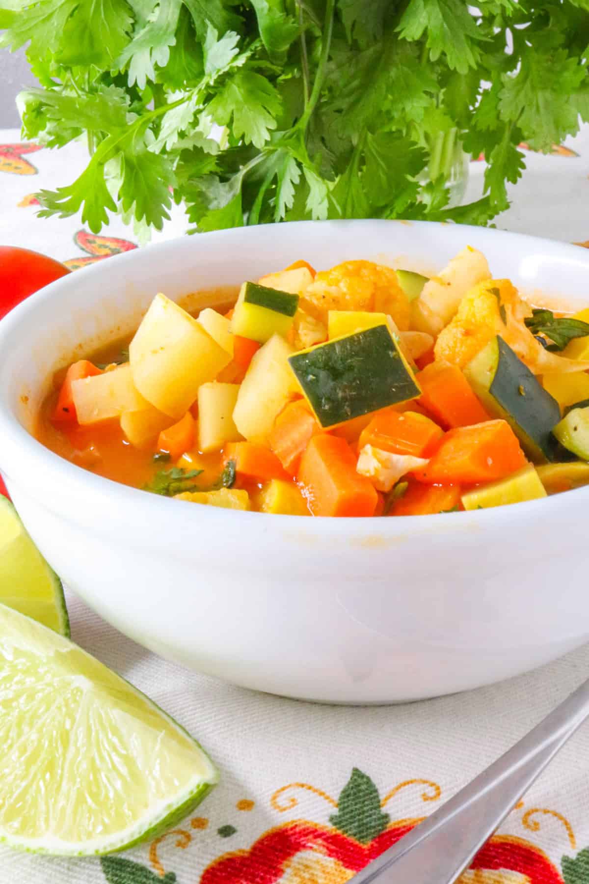 Sopa de Verduras (Mexican Vegetable Soup)