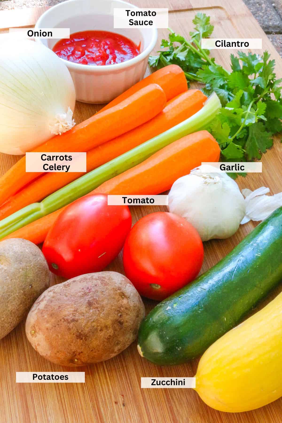 Ingredients for sopa de verduras: tomato sauce, onion, cilantro, carrots, celery, tomatoes, garlic, potatoes, zucchini