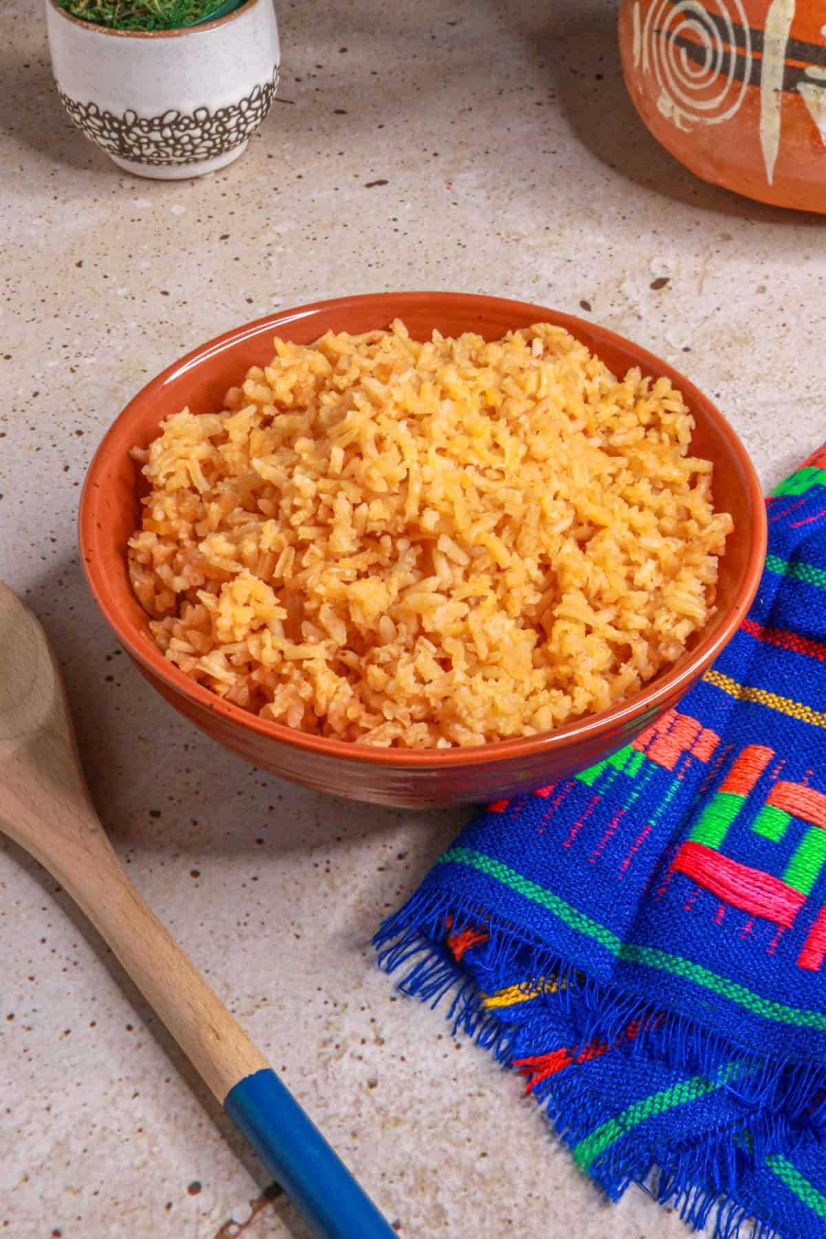 Side view of arroz rojo (Mexican red rice)