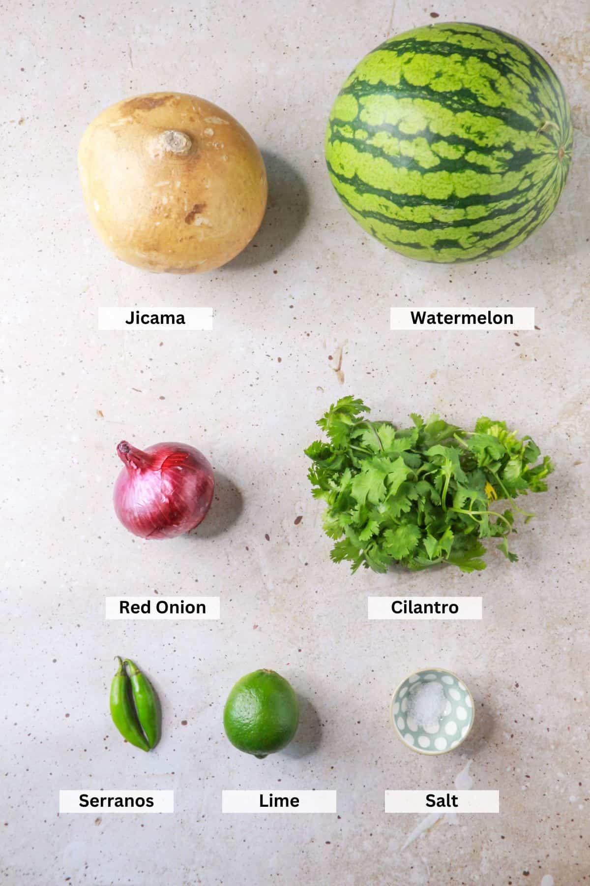Watermelon Salsa Ingredients: jicama, watermelon, red onion, cilantro, serranos, lime, salt