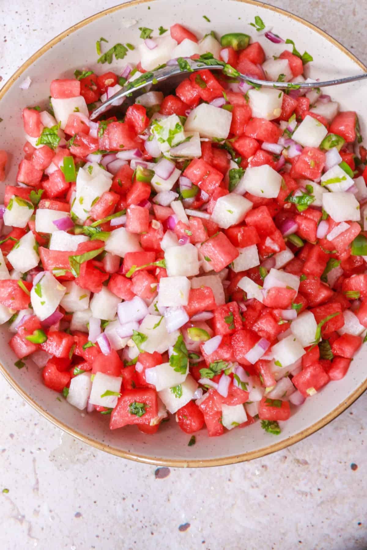 Mixed watermelon salsa in a bowl
